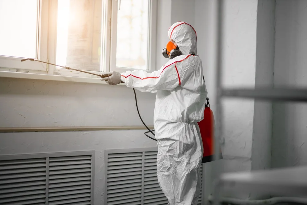 Professional mold remediation services in Gregory, MI